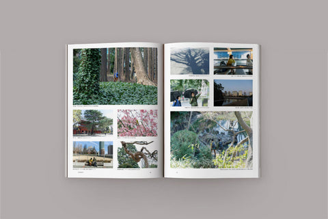 TOKYO | TOKYO Tree Trek